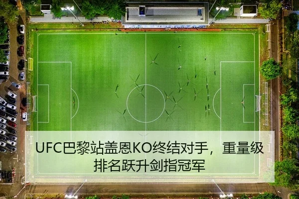 UFC巴黎站盖恩KO终结对手，重量级排名跃升剑指冠军